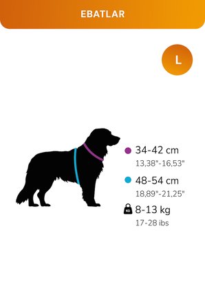 Kediler Ve Köpekler İçin Rahat, Dayanıklı Göğüs Tasması L