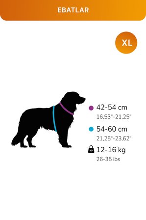 Kediler Ve Köpekler İçin Rahat, Dayanıklı Göğüs Tasması XL