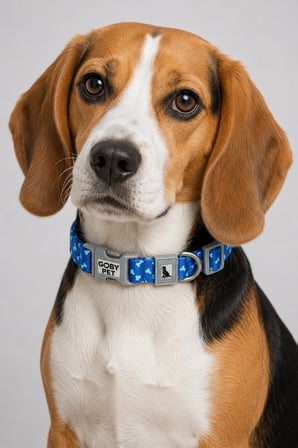 Köpekler İçin Dayanıklı Ve Güvenli, Desenli Boyun Tasması ( 25mm )