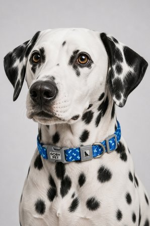 Köpekler İçin Dayanıklı Ve Güvenli, Desenli Boyun Tasması ( 25mm )