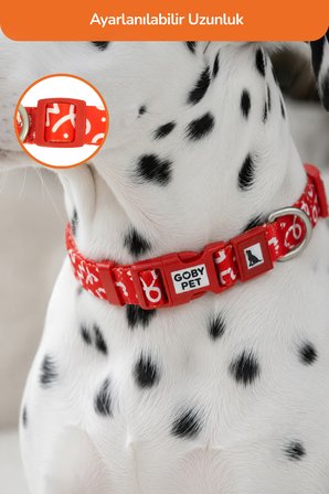 Köpekler İçin Dayanıklı Ve Güvenli, Desenli Boyun Tasması ( 25mm )