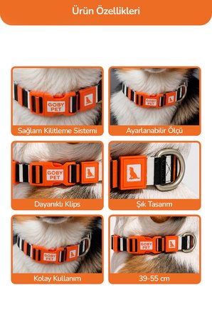 Köpekler İçin Dayanıklı Ve Güvenli, Desenli Boyun Tasması ( 25mm )