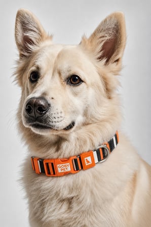 Köpekler İçin Dayanıklı Ve Güvenli, Desenli Boyun Tasması ( 25mm )