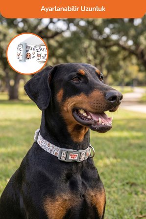 Köpekler İçin Dayanıklı Ve Güvenli, Desenli Boyun Tasması ( 25mm )