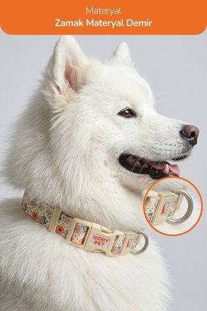 Köpekler İçin Dayanıklı Ve Güvenli, Desenli Boyun Tasması ( 25mm )