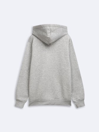 Regular Fit Baskı Detaylı Kapüşonlu Gri Sweatshırt