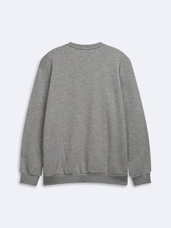 Regular Fit Baskı Detaylı Bisiklet Yaka Gri Sweatshırt