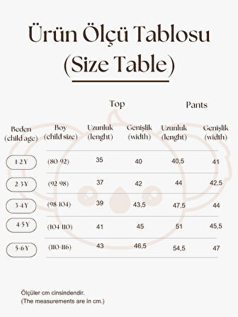 Gri Çizgili Sırt Detaylı Müslin Takım
