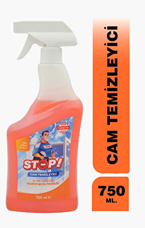 Cam Temizleyici Sprey 750 ml