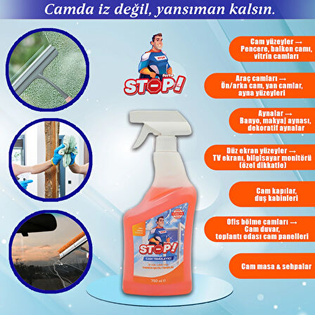 Cam Temizleyici Sprey 750 ml