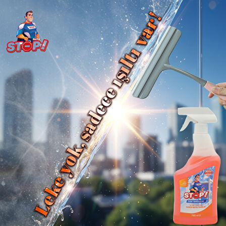 Cam Temizleyici Sprey 750 ml
