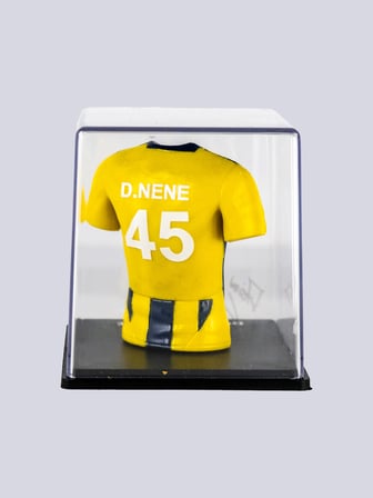 Fenerbahçe Dorgeles Nene Futbolcu Forma Büst