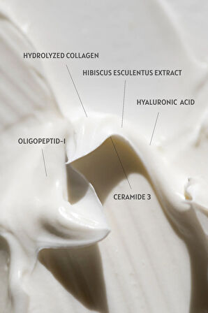 Night Bloom Cream - Yaşlanma Karşıtı Gece Kremi - Hyaluronic Acid + Shea Butter + Collagen - 50 ml