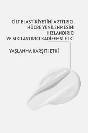 Night Bloom Cream - Yaşlanma Karşıtı Gece Kremi - Hyaluronic Acid + Shea Butter + Collagen - 50 ml