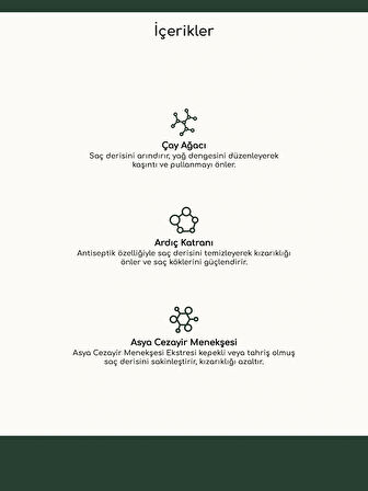 Louvess Kepek Önleyici Şampuan (Çay Ağacı ve Ardıç Katranı İle Güçlendirilmiş Kepek Karşıtı Şampuan 400 ML)