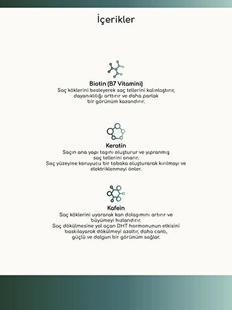 Louvess Üçlü Bakım Şampuanı ( Biotin, Keratin ve Kafein İle Güçlendirilmiş Saç Bakım Şampuanı 400 ML )