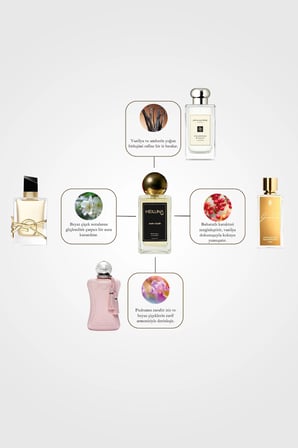 3'lü Parfüm Set Mystic Jasmine | Ambre Vanille | Sensual Latte 100 ml EDP Parfüm