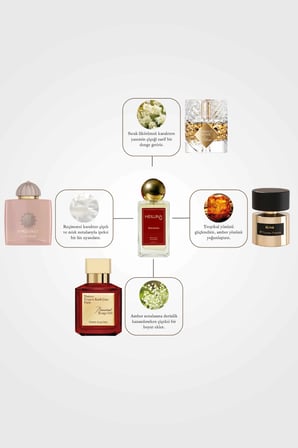 3'lü Parfüm Set Mystic Jasmine | Ambre Vanille | Sensual Latte 100 ml EDP Parfüm