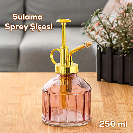 Perotti 15733 Mor Vintage Cam Bitki Sulama Şişesi Oda Kokusu Dağıtıcı Cam Dağıtıcı Sprey 250ml