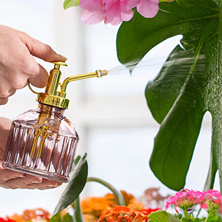 Perotti 15733 Mor Vintage Cam Bitki Sulama Şişesi Oda Kokusu Dağıtıcı Cam Dağıtıcı Sprey 250ml