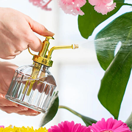 Perotti 15733 Gri Vintage Cam Bitki Sulama Şişesi Oda Kokusu Dağıtıcı Cam Dağıtıcı Sprey 250ml