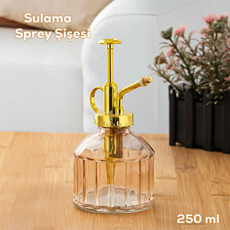 Perotti 15733 Pembe Vintage Cam Bitki Sulama Şişesi Oda Kokusu Dağıtıcı Cam Dağıtıcı Sprey 250ml