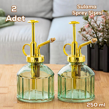 Perotti 15733 2'li Yeşil Vintage Cam Bitki Sulama Şişesi Oda Kokusu Dağıtıcı Cam Dağıtıcı Sprey 250ml