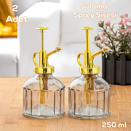 Perotti 15733 2'li Gri Vintage Cam Bitki Sulama Şişesi Oda Kokusu Dağıtıcı Cam Dağıtıcı Sprey 250ml