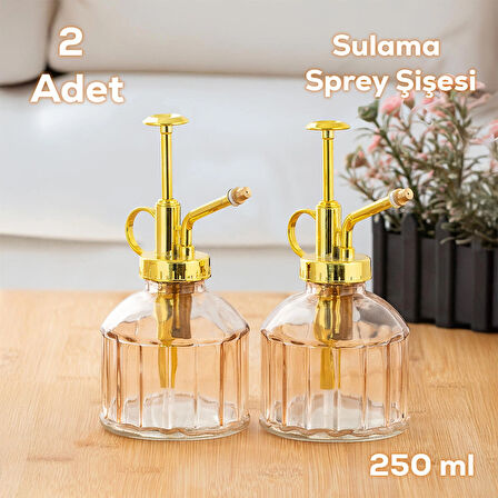 Perotti 15733 2'li Pembe Vintage Cam Bitki Sulama Şişesi Oda Kokusu Dağıtıcı Cam Dağıtıcı Sprey 250ml