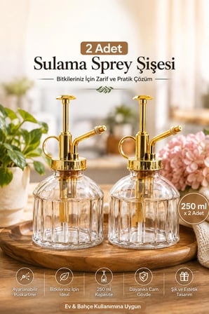 Perotti 15733 2'li Pembe Vintage Cam Bitki Sulama Şişesi Oda Kokusu Dağıtıcı Cam Dağıtıcı Sprey 250ml
