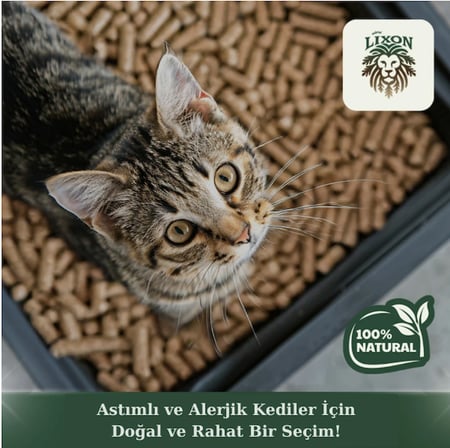 Lixon Natural Doğal Çam Peleti Kedi Kumu 5 Kg (10L) Yavru/Yetişkin Kediler Ve Kemirgen Hayvanlar İçin %100 Biyobozunur - Astımlı Kediler İçin Uygun - Kimyasal İçermeyen - Yüksek Emiş Gücü