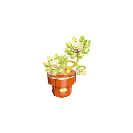 BLOSSOM LEGO GRAPTOPETALUM  ÇİÇEK