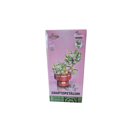 BLOSSOM LEGO GRAPTOPETALUM  ÇİÇEK