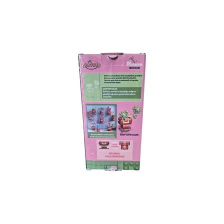 BLOSSOM LEGO GRAPTOPETALUM  ÇİÇEK