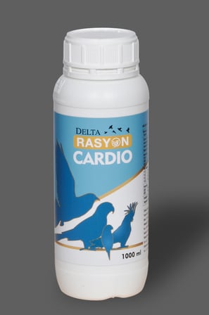 CARDIO