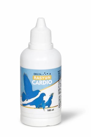CARDIO