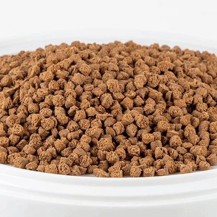 DELTA RASYON Nirvana Papağan Yemi Ekstruder Yüksek Proteinli 5 Kg