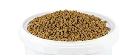 Amazon Papağanı Tam Yem 1 Kg