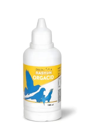 Organik Asit