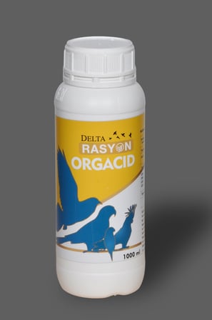 Organik Asit