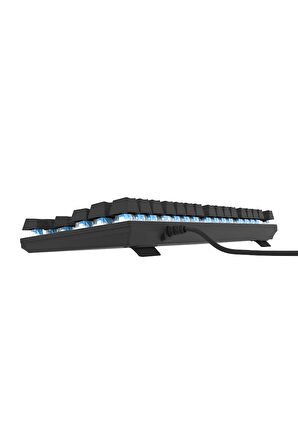 Hawk Gaming HK410M Mekanik Mavi Switch 19 Mod RGB Kablolu Siyah TKL Türkçe Gaming Klavye
