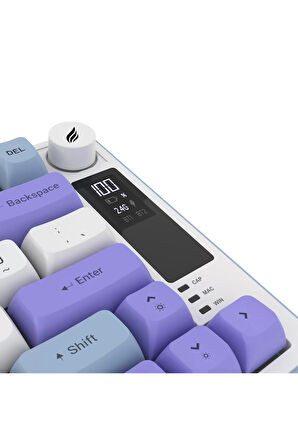Hawk Gaming HK255BP Membrane LCD RGB Kablosuz/Bluetooth Mavi Mor %75 Türkçe Gaming Klavye
