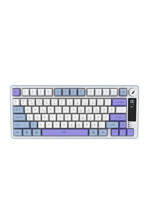 Hawk Gaming HK255BP Membrane LCD RGB Kablosuz/Bluetooth Mavi Mor %75 Türkçe Gaming Klavye