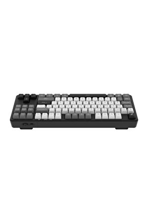 Hawk Gaming HK220BW Membrane RGB Kablosuz/Bluetooth Siyah Beyaz TKL Türkçe Gaming Klavye