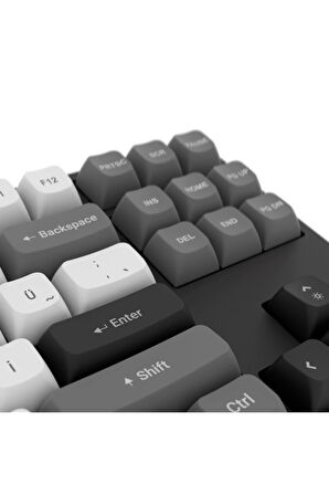 Hawk Gaming HK220BW Membrane RGB Kablosuz/Bluetooth Siyah Beyaz TKL Türkçe Gaming Klavye