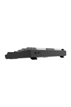 Hawk Gaming HK220BW Membrane RGB Kablosuz/Bluetooth Siyah Beyaz TKL Türkçe Gaming Klavye