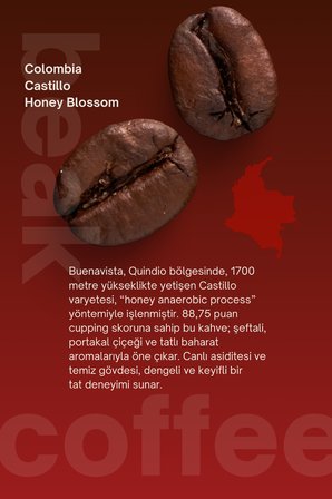 Colombia Honey Blossom Çekirdek Kahve 250 GR , %100 Arabica