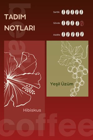 Colombia Hibiscus Natural Çekirdek Kahve 250 GR , %100 Arabica