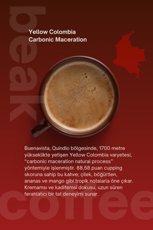 Colombia Carbonic Maceration Natural Çekirdek Kahve 250 GR , %100 Arabica