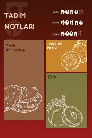 Colombia Orange Tabi Çekirdek Kahve 250 GR , %100 Arabica